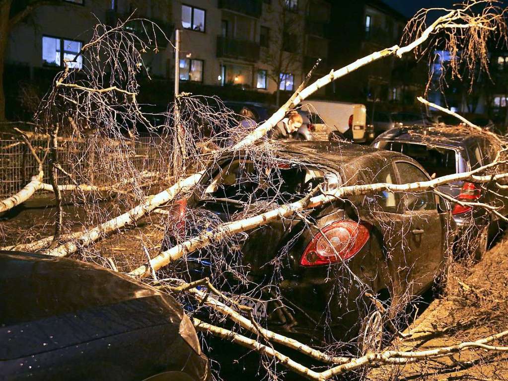 Ein geparktes Auto ist in Dsseldorf von einem umgestrzten Baum bedeckt.