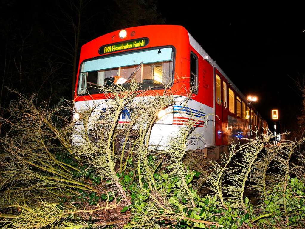 Ein von Orkanben des Sturmtiefs „Sabine“ umgewehter Baum liegt auf der Bahnstrecke  Hennstedt-Ulzburg - Elmshorn vor einem Zug der AKN Eisenbahn