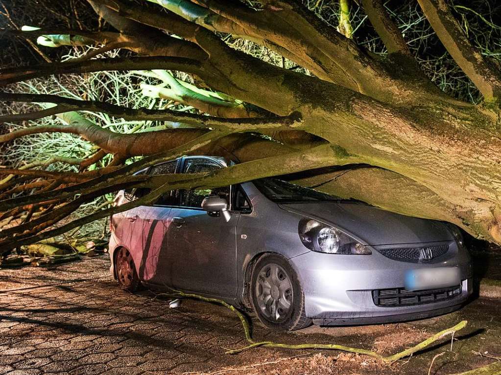 Ein umgestrzter Baum liegt in Hamburg auf einem Parkplatz auf einem Auto.