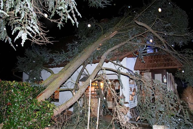 Ins Dach eingeschlagen ist dieser Baum in Mllheim-Niederweiler.  | Foto: Volker Mnch