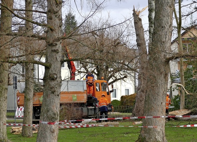 Im Herbert-King-Park knickte Sabine einen Baum ab und beschdigte  weitere.   | Foto: Elena Borchers