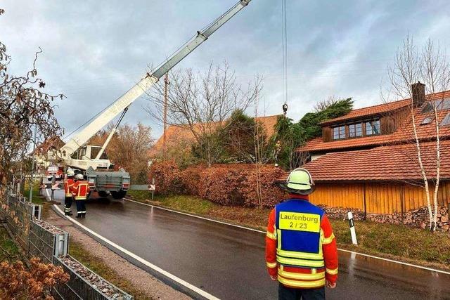 Baum fällt in Laufenburg auf ein Haus