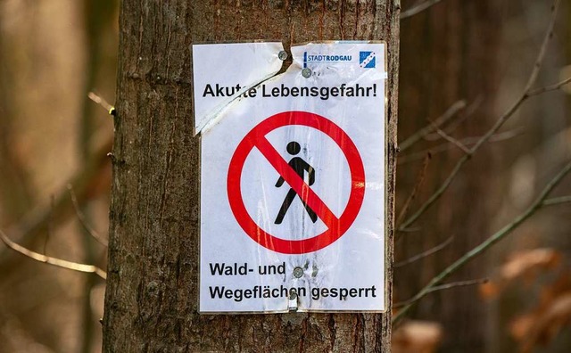Dieses Schild steht in einem Wald in Hessen.  | Foto: Andreas Arnold (dpa)