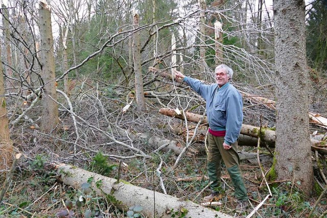 Jede Menge abgeknickte und umgedrckte...f nach dem Sturm &#8222;Sabine&#8220;.  | Foto: Martin Kpfer