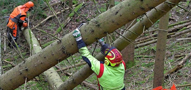 Die Arbeit im Sturmholz sollten Profis...ser gefhrliche Spannungen im Verhau.   | Foto: Wolfgang Scheu