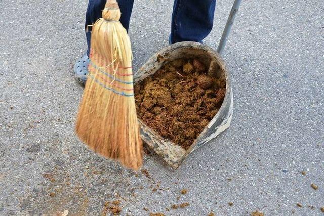 Pferdehalter in Rheinfelden mssen Mist ihrer Tiere nun selbst beseitigen