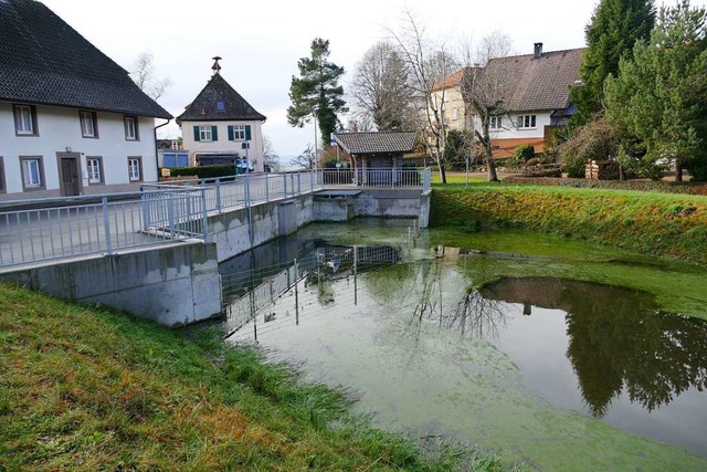 An den Husern in direkter Nachbarschaft zum Dorfweiher werden Risse moniert.  | Foto: Sarah Trinler