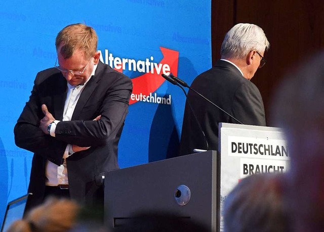 Die Landesvorsitzenden Dirk Spaniel  und Bernd Ggel (rechts)  | Foto: Uli Deck (dpa)
