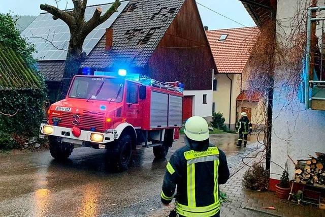 Das Elztal kam beim Sturmtief 