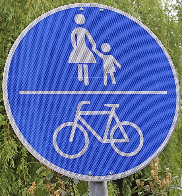 Bessere Radwege sind nur eines der Anliegen der Grnen.  | Foto: Victoria Langelott