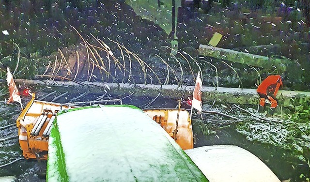 Unter hrtesten Wetterbedingungen ware...strzte Bume von der Strae zu rumen  | Foto: Guido Strittmatter