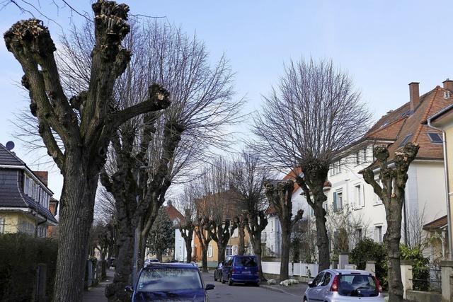 Anwohner ärgern sich über radikalen Baumschnitt