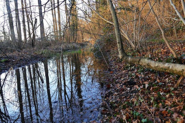 Der Krebsbach unterhalb des Hochgestad...telbar vor den Haustren der Haltinger  | Foto: Ulrich Senf