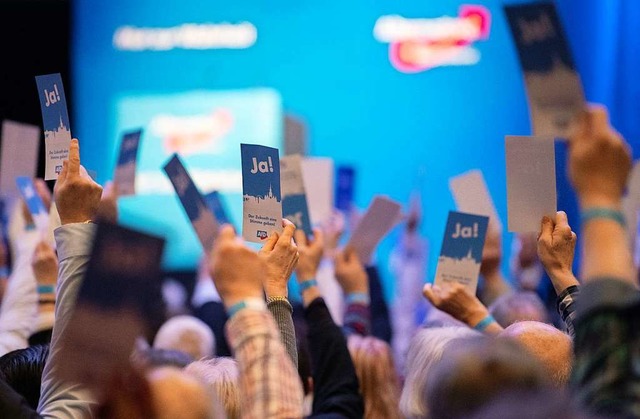 AfD-Sonderparteitag in Bblingen  | Foto: Marijan Murat (dpa)