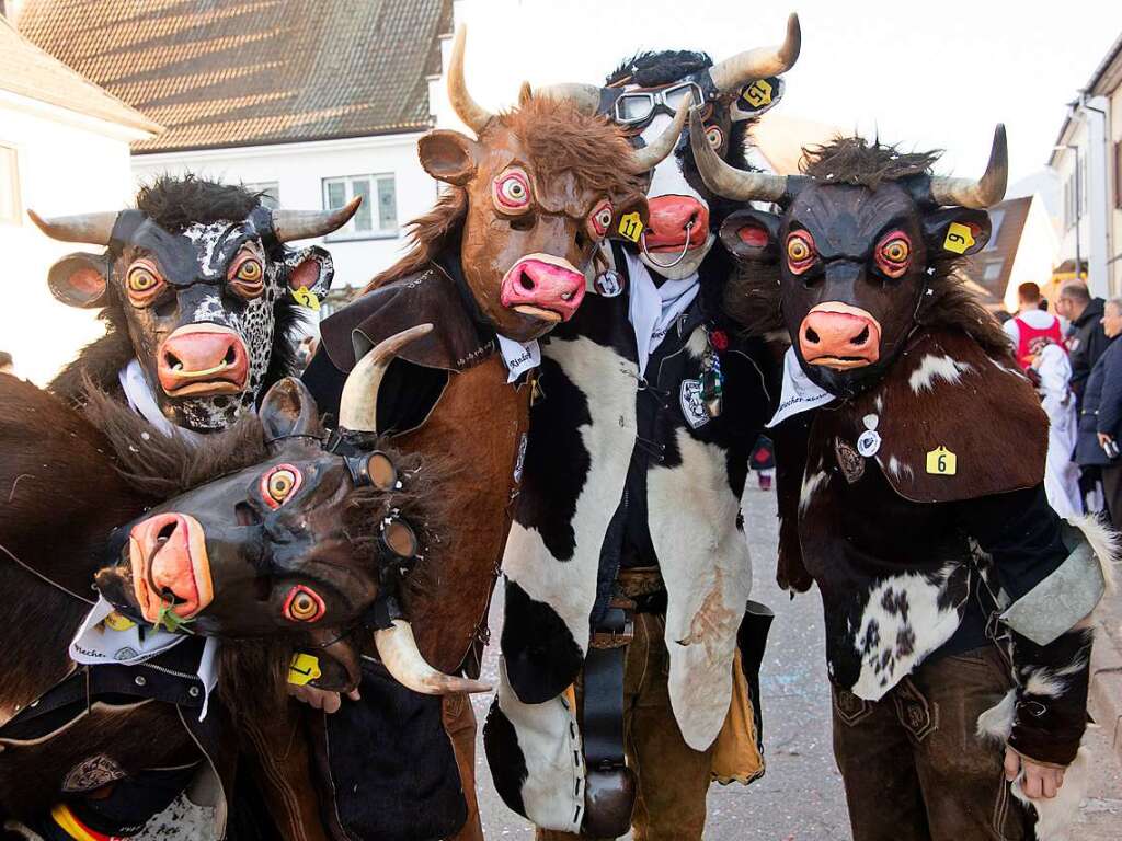 Narren in den Bugginger Straen beim groen Jubilumsumzug