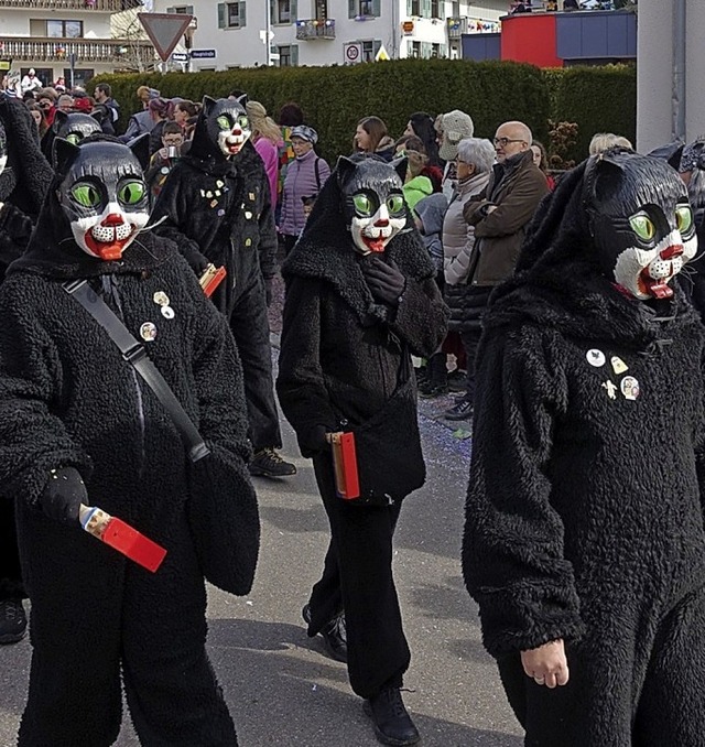 Die Stiegele Chatzen richteten anlssl...Jahr das Schlttal-Narrentreffen aus.   | Foto: Heidemarie Rombach