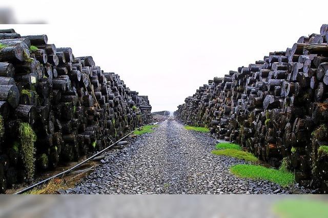 Nasslager soll Holzqualitt sichern