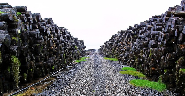 Mit einem Nasslager kann die Holzquali...pel soll wieder eingerichtet werden.    | Foto: Christian Heck