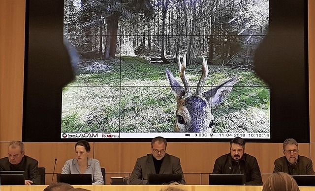 Bei der Diskussion ber das Wildtiermo...und Erhard Jauch (Landesjagdverband).   | Foto: suedkurier