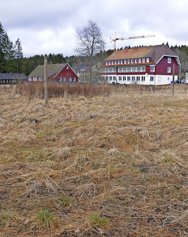 Die Baupltze im Gebiet Waldfrieden si...e Jugendherberge (rechts) zu erkennen.  | Foto: Stefan Limberger-Andris