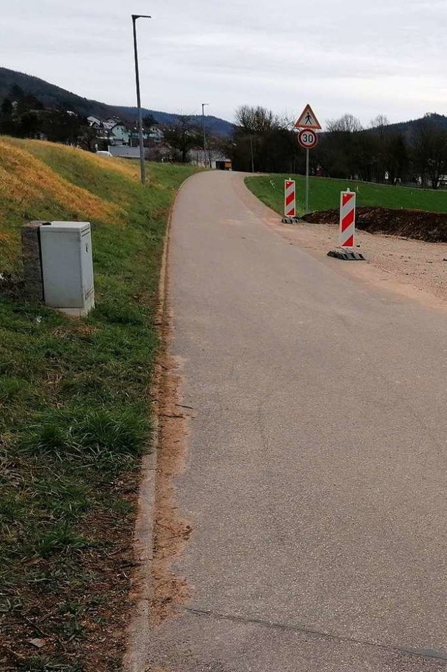 Der Standort des Verteilerkastens am Wendestreifen.  | Foto: Albert Beck