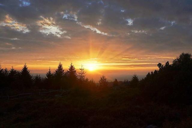 Fast 780.000 Menschen besuchen den Nationalpark Schwarzwald