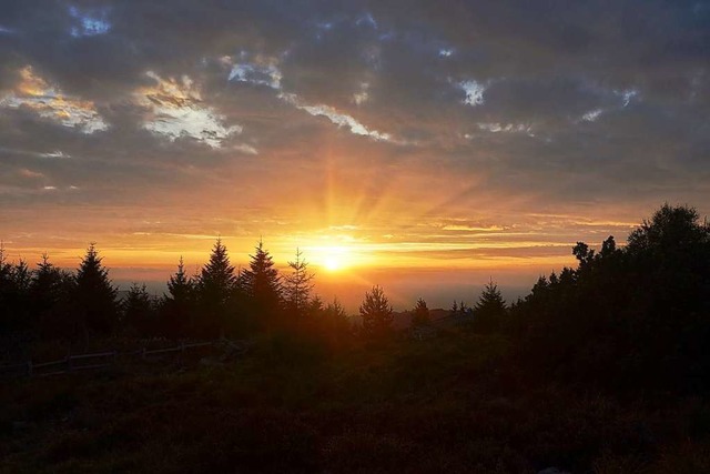 Postkartenidyll: der  Nationalpark Schwarzwald  | Foto: Nationalpark Schwarzwald