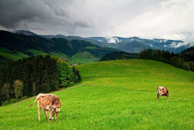 Der Gesetzgeber vor, dass zur Ermittlu...rausschssen anschlieen (Symbolbild).  | Foto: Stefan Arendt - Fotolia