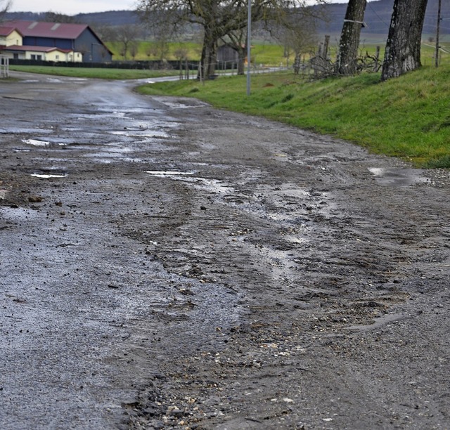 Die Zufahrt zum Grnschnittplatz ist voller Schlaglcher.   | Foto: Jutta Schtz