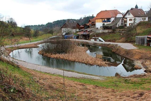 Der Vogelbacher-Lschteich muss bis Ende Februar renaturiert werden