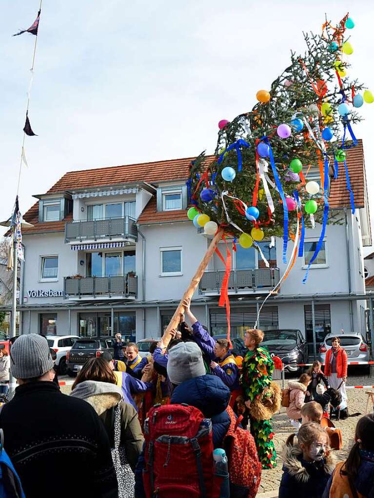 Der Narrenbaum wird auf dem Platz vorm Rathaus in Ballrechten-Dottingen aufgestellt.