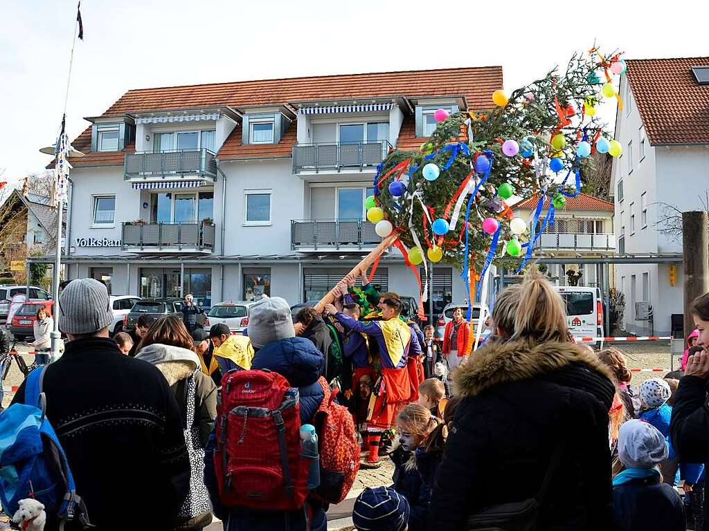 Der Narrenbaum wird auf dem Platz vorm Rathaus in Ballrechten-Dottingen aufgestellt.