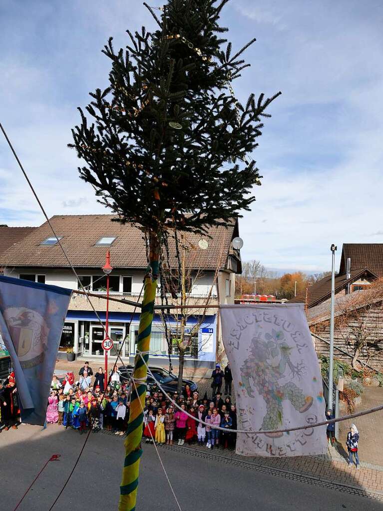 Hoch damit: der Narrenbaum wird vor Gottenheims Rathaus aufgerichtet.