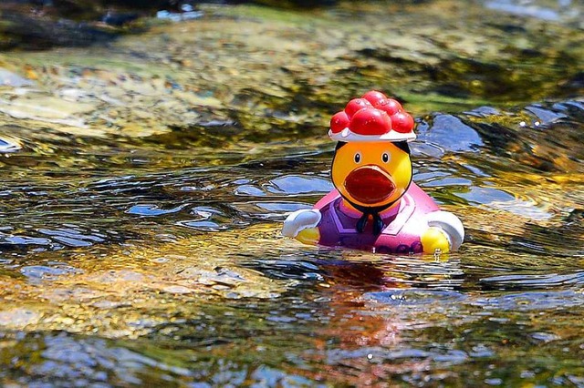 Die Touristen strmen wie nie nach Fre... wegen neuer Konkurrenz ins Schwimmen.  | Foto: Michael Bamberger