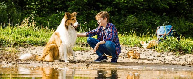 Ziemlich beste Freunde: Collie-Hndin Lassie und Florian (Nico Marischka)  | Foto: - (dpa)
