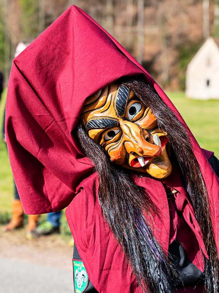 Bunter Narrenwurm: Das sonnige Wetter lockte viele Besucher nach Buchenbach. Die hatten ihre Freude am Umzug mit mehr als 60 Gruppen.