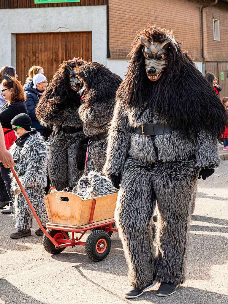 Bunter Narrenwurm: Das sonnige Wetter lockte viele Besucher nach Buchenbach. Die hatten ihre Freude am Umzug mit mehr als 60 Gruppen.