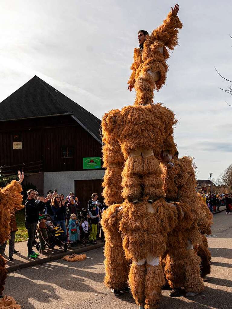 Bunter Narrenwurm: Das sonnige Wetter lockte viele Besucher nach Buchenbach. Die hatten ihre Freude am Umzug mit mehr als 60 Gruppen.