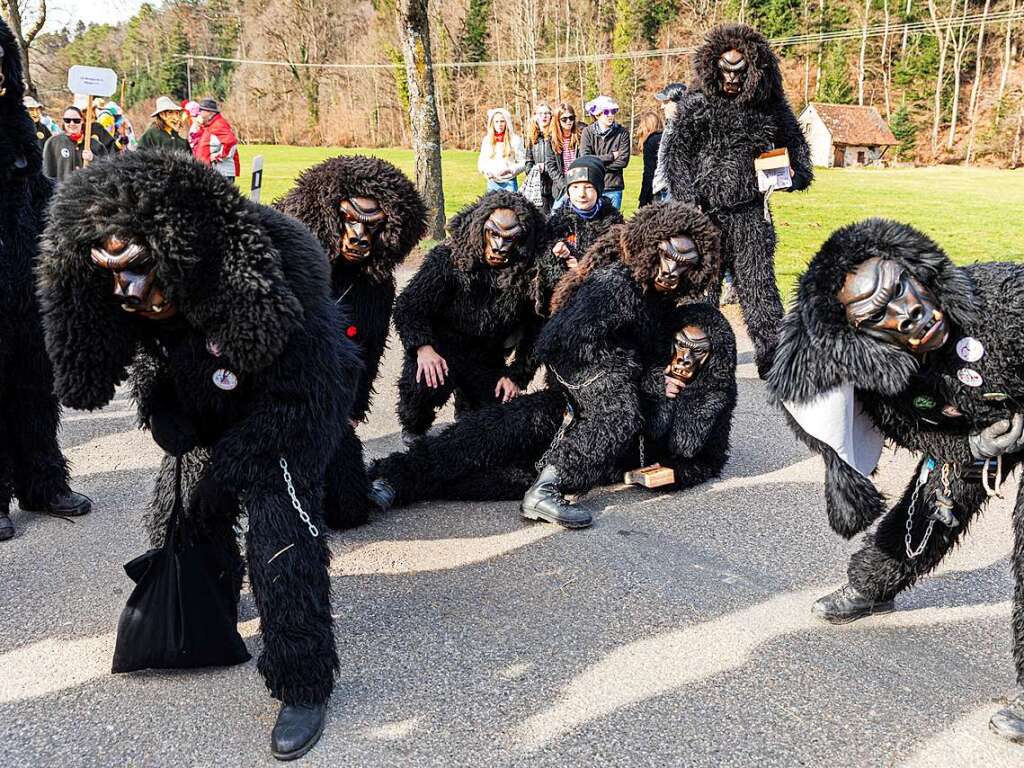 Bunter Narrenwurm: Das sonnige Wetter lockte viele Besucher nach Buchenbach. Die hatten ihre Freude am Umzug mit mehr als 60 Gruppen.