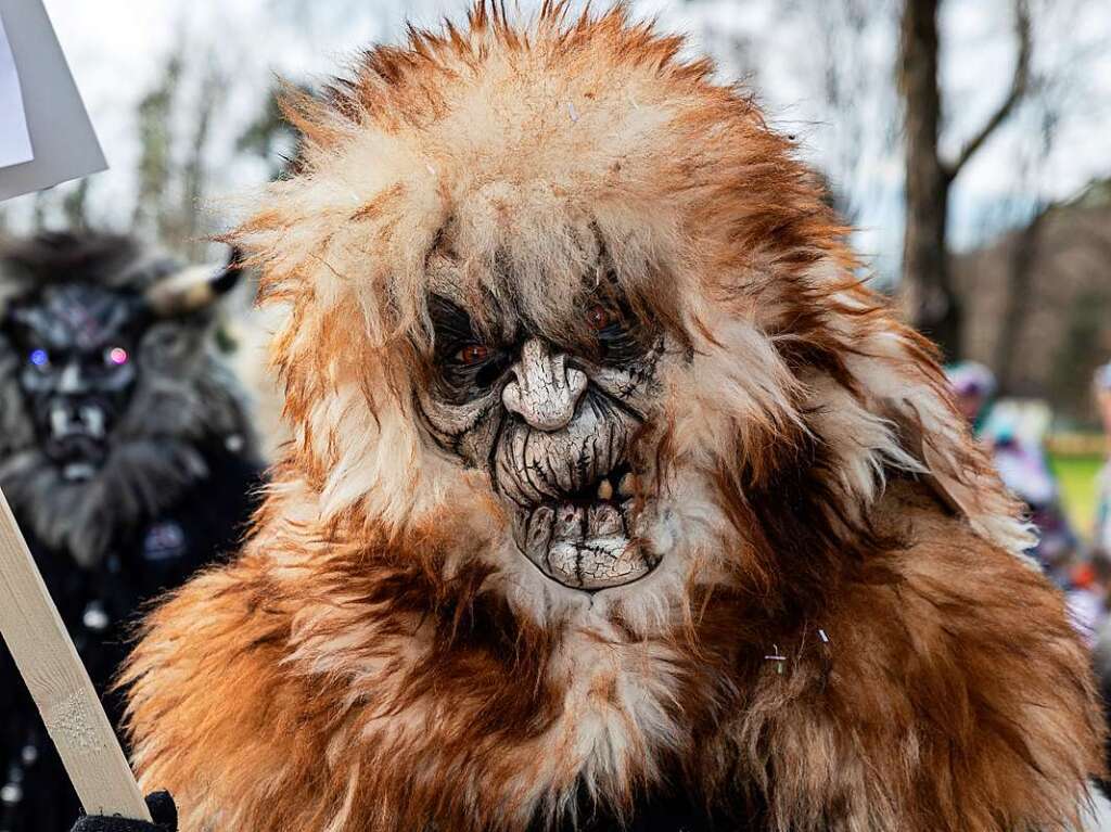 Bunter Narrenwurm: Das sonnige Wetter lockte viele Besucher nach Buchenbach. Die hatten ihre Freude am Umzug mit mehr als 60 Gruppen.