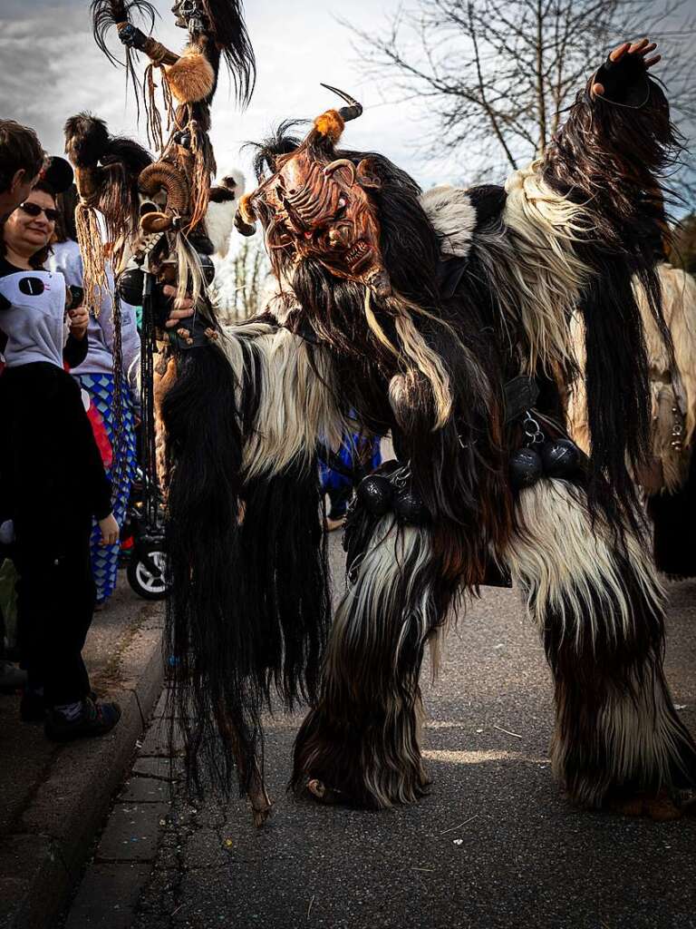 Bunter Narrenwurm: Das sonnige Wetter lockte viele Besucher nach Buchenbach. Die hatten ihre Freude am Umzug mit mehr als 60 Gruppen.