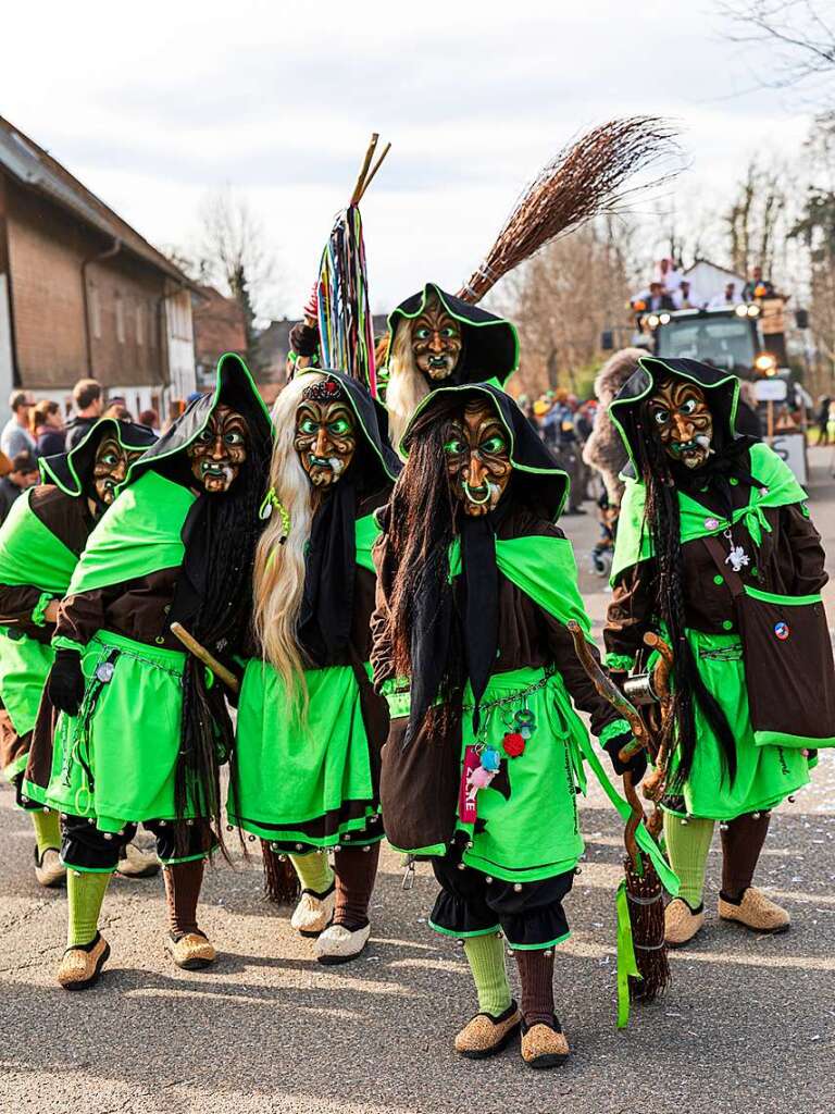 Bunter Narrenwurm: Das sonnige Wetter lockte viele Besucher nach Buchenbach. Die hatten ihre Freude am Umzug mit mehr als 60 Gruppen.