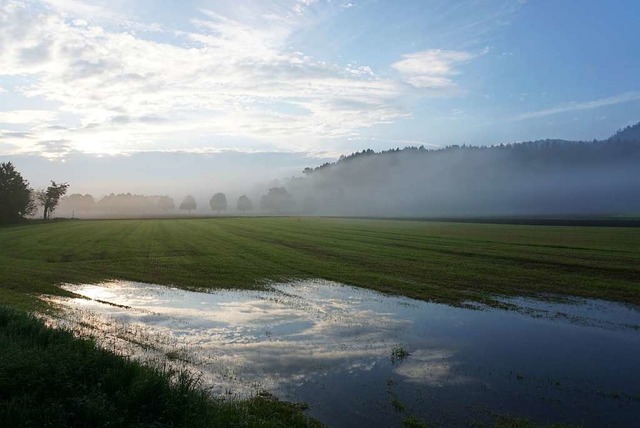 Noch sind die Felder berschwemmt &#8211; kommt jetzt endlich der Frhsommer?  | Foto: Thomas Eckerle