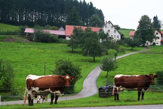 Oberspitzenbach entstand vor mehr als 400 Jahren und ist bis heute landwirtschaftlich geprägt