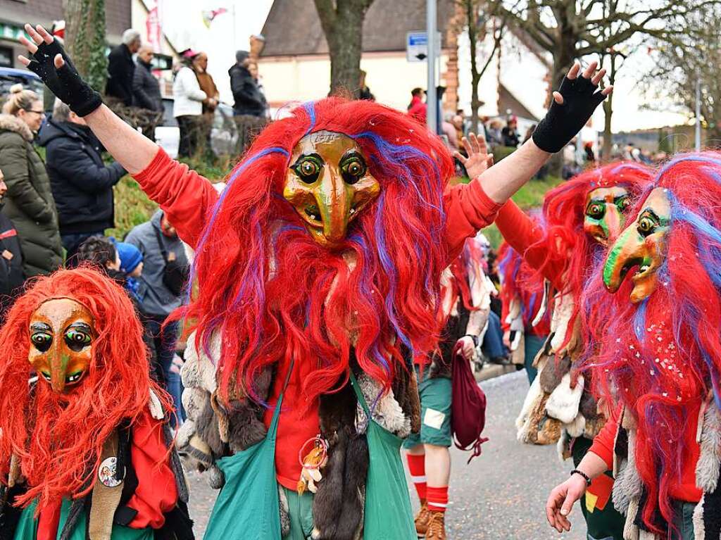 Impressionen vom grenzberschreitenden Fasnachtsumzug Rheinfelden 2020