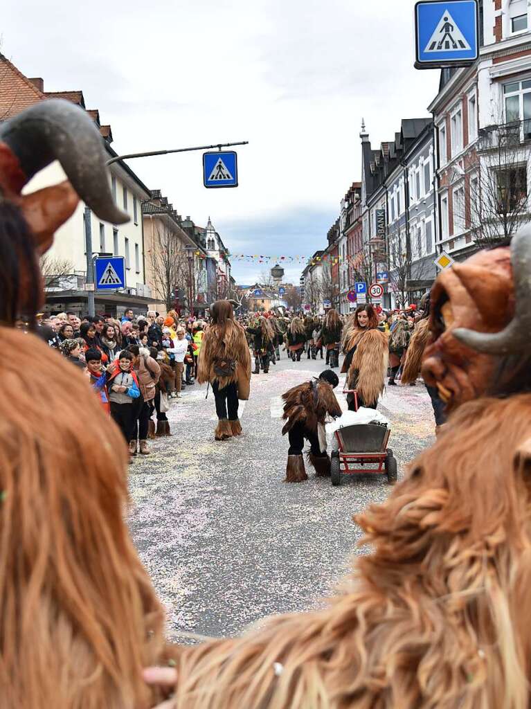 Impressionen vom grenzberschreitenden Fasnachtsumzug Rheinfelden 2020