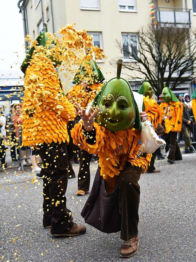 Impressionen vom grenzberschreitenden Fasnachtsumzug Rheinfelden 2020