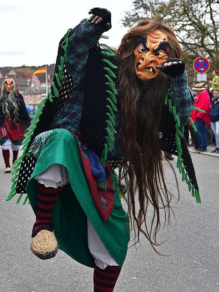 Impressionen vom grenzberschreitenden Fasnachtsumzug Rheinfelden 2020