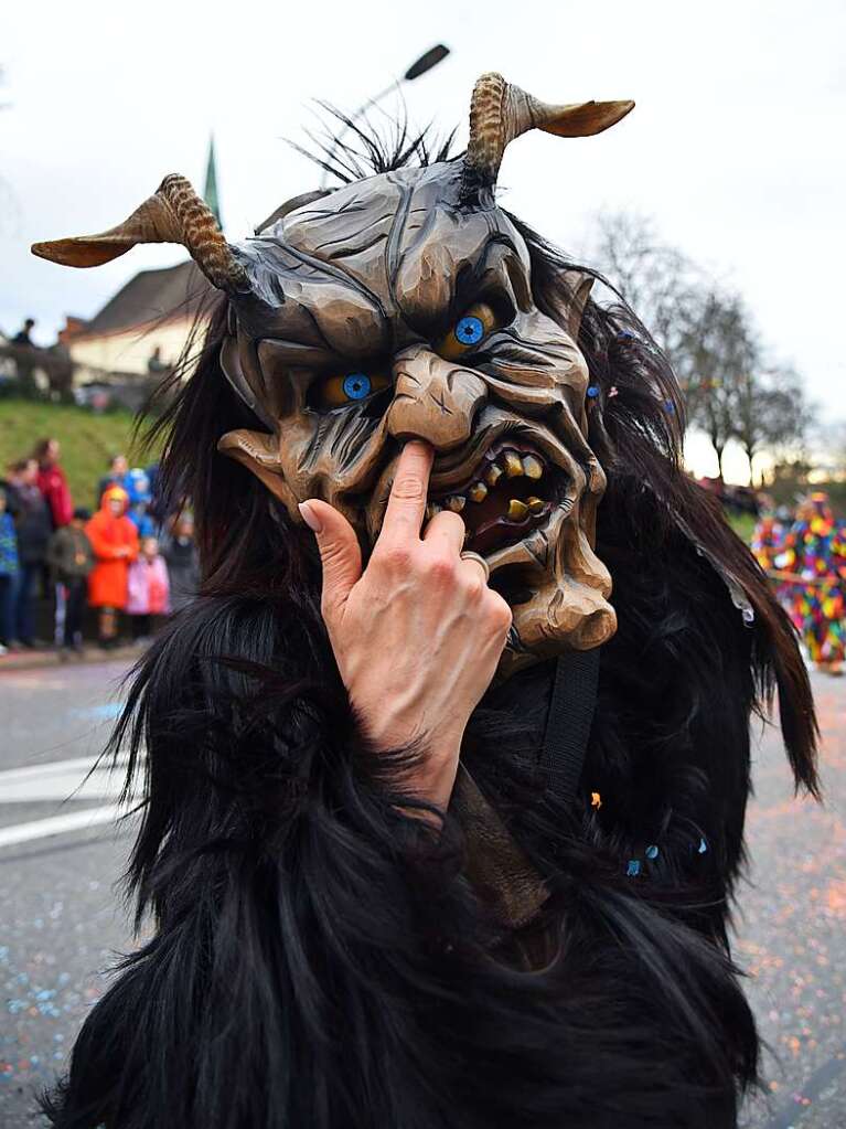 Impressionen vom grenzberschreitenden Fasnachtsumzug Rheinfelden 2020