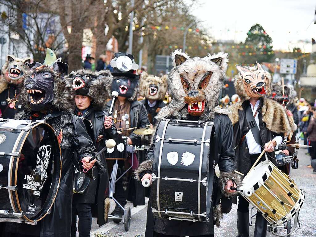 Impressionen vom grenzberschreitenden Fasnachtsumzug Rheinfelden 2020